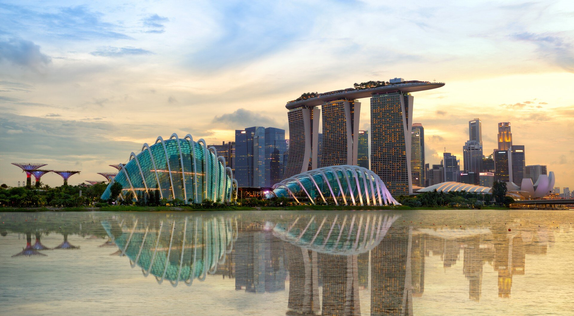 Temasek to write down 100% of its investment in FTX | Asia Asset Management